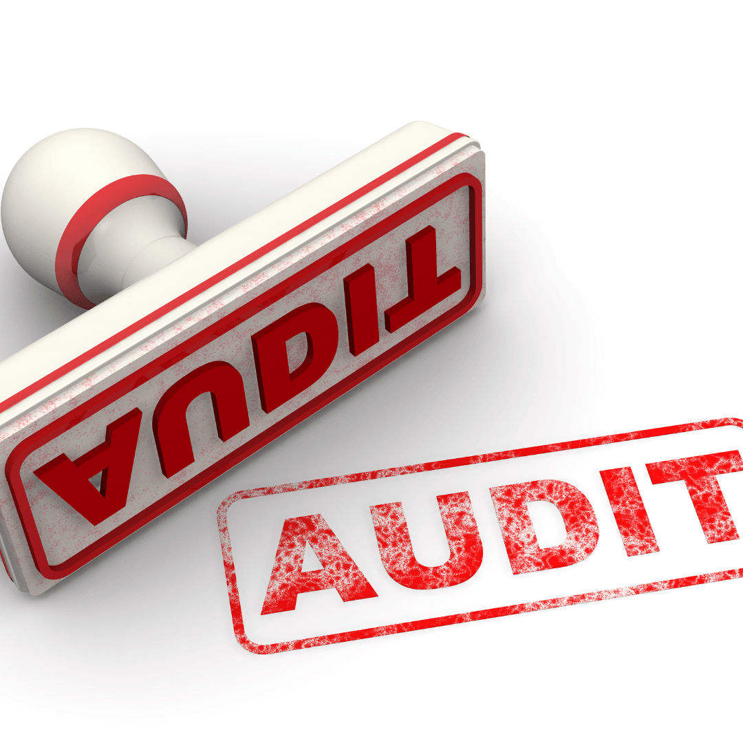 Case Study: Remote Digital Marketing Company Performance Audit & Commission System